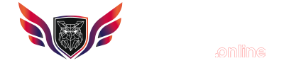 system logo